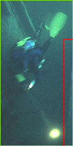 Diver