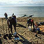 Griswald Point